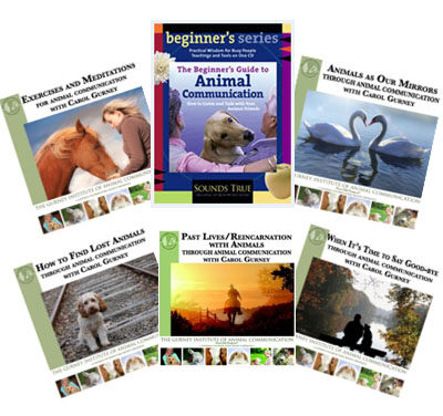 Animal Communication CDS