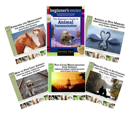 Animal Communication CDs