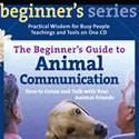 Beginner’s Guide to Animal Communication
