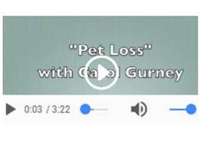 Pet Loss